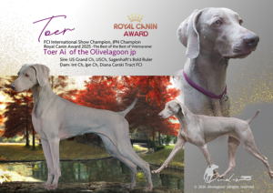 ロイヤルカナンアワード2025