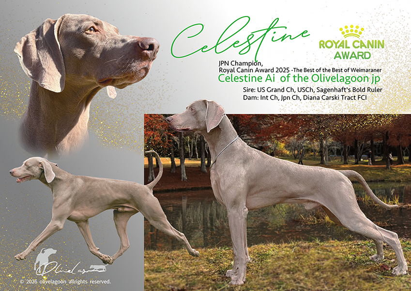 ロイヤルカナンアワード2025