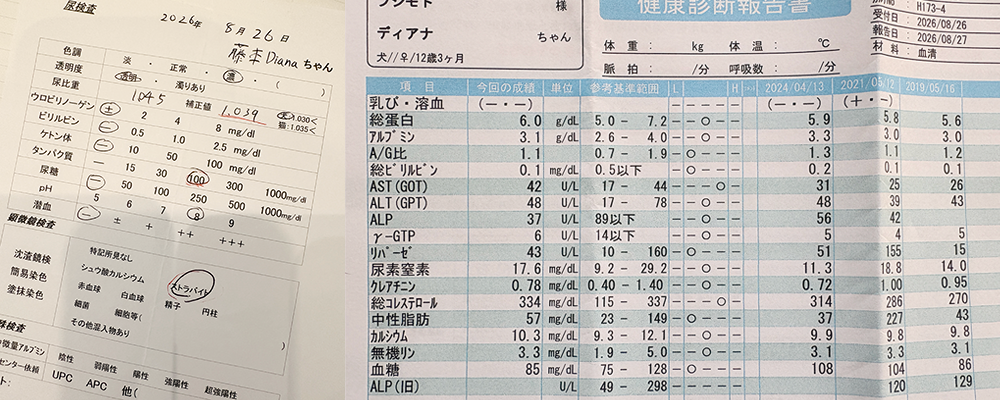 血液検査