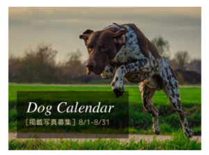 Dog Calendar写真募集