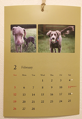 犬のカレンダー