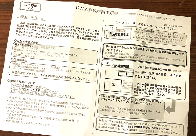 DNA登録手順書