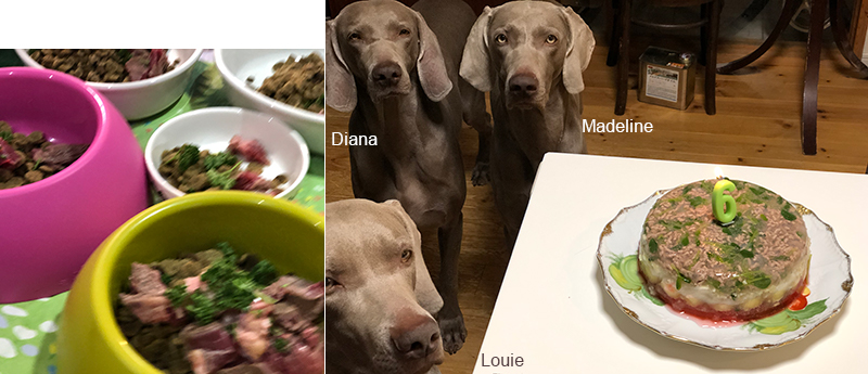 犬のお誕生日ケーキ